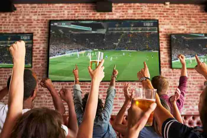 hospitality-venues-people-cheering-beer-watching-football-tv-channel.webp